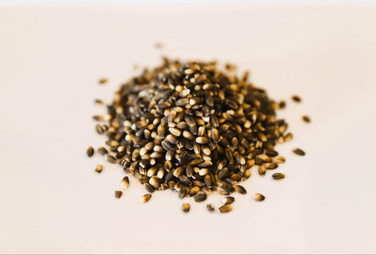 Why Black Barley Deserves a Spot in Your Pantry